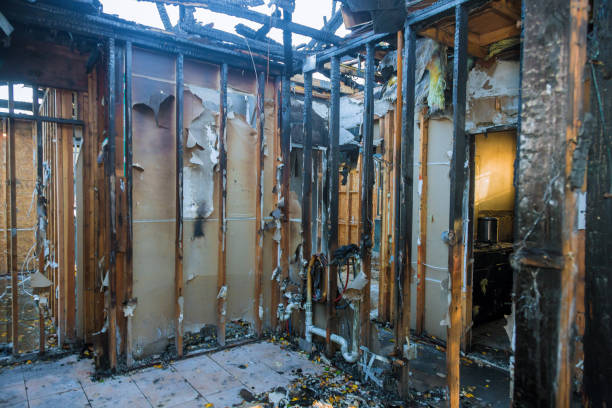 Professional Fire Damage Removal technician working in Tierra Verde, FL